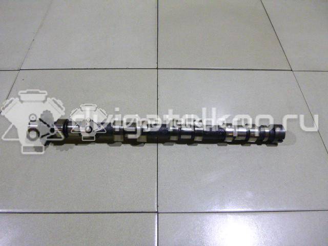 Фото Распредвал впускной для двигателя 224DT для Land Rover Freelander / Range Rover / Discovery 150-190 л.с 16V 2.2 л Дизельное топливо LR021913 {forloop.counter}}