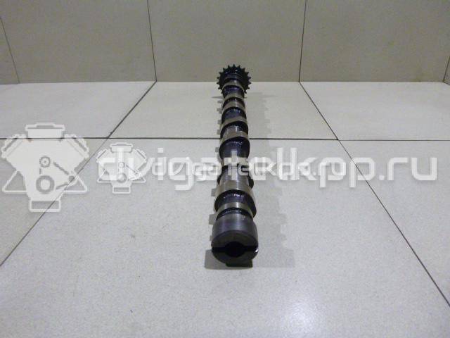 Фото Распредвал впускной для двигателя 224DT для Land Rover Freelander / Range Rover / Discovery 150-190 л.с 16V 2.2 л Дизельное топливо LR021913 {forloop.counter}}