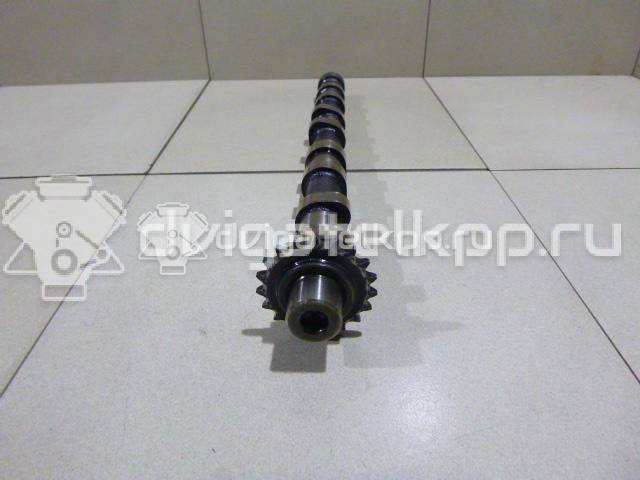 Фото Распредвал впускной для двигателя 224DT для Land Rover Freelander / Range Rover / Discovery 150-190 л.с 16V 2.2 л Дизельное топливо LR021913 {forloop.counter}}