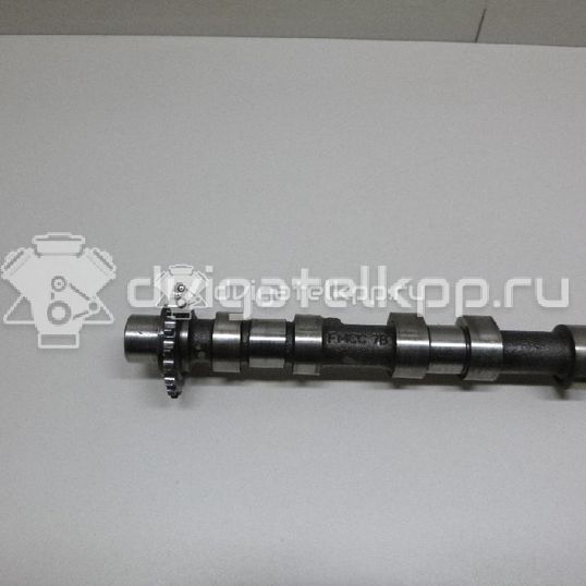 Фото Распредвал впускной для двигателя 224DT для Land Rover Freelander / Range Rover / Discovery 150-190 л.с 16V 2.2 л Дизельное топливо LR021913