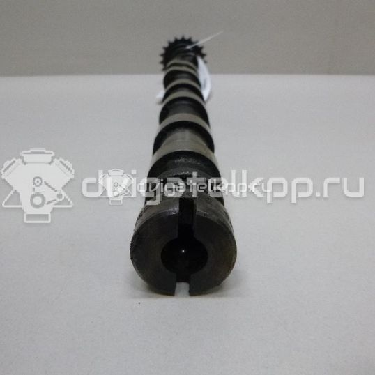 Фото Распредвал впускной для двигателя 224DT для Land Rover Freelander / Range Rover / Discovery 150-190 л.с 16V 2.2 л Дизельное топливо LR021913