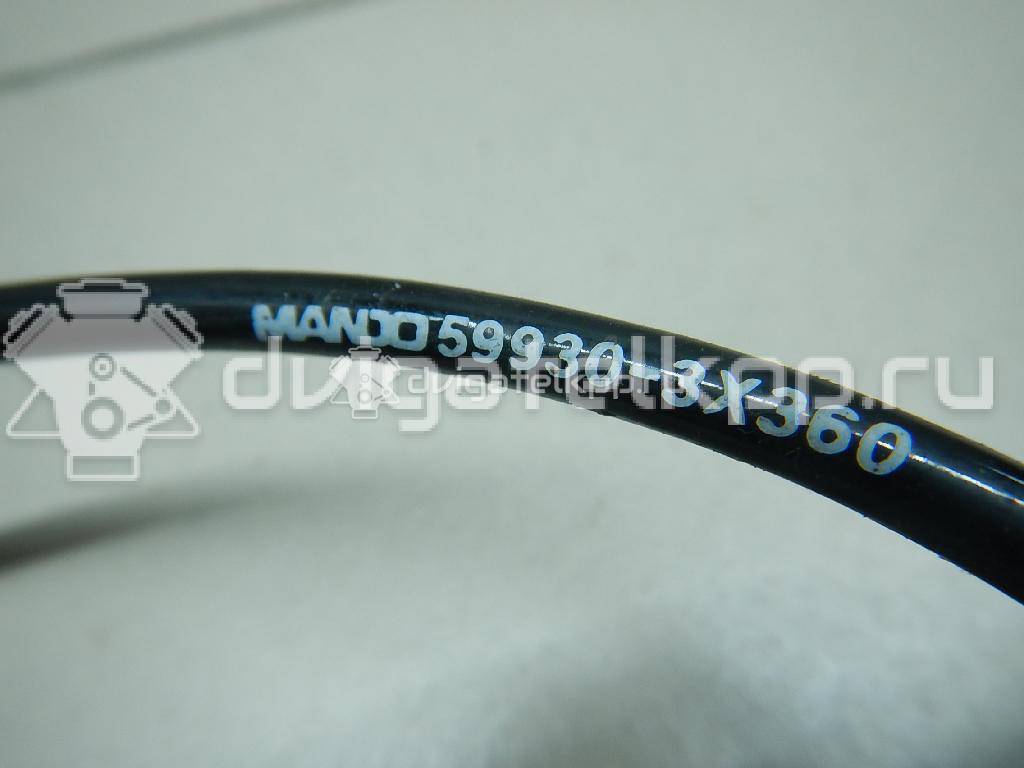 Фото Датчик ABS задний правый  599303x360 для Hyundai Elantra {forloop.counter}}