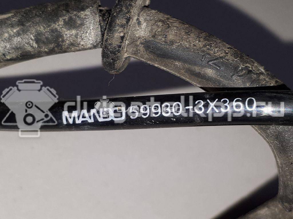 Фото Датчик ABS задний правый  599303x360 для Hyundai Elantra {forloop.counter}}