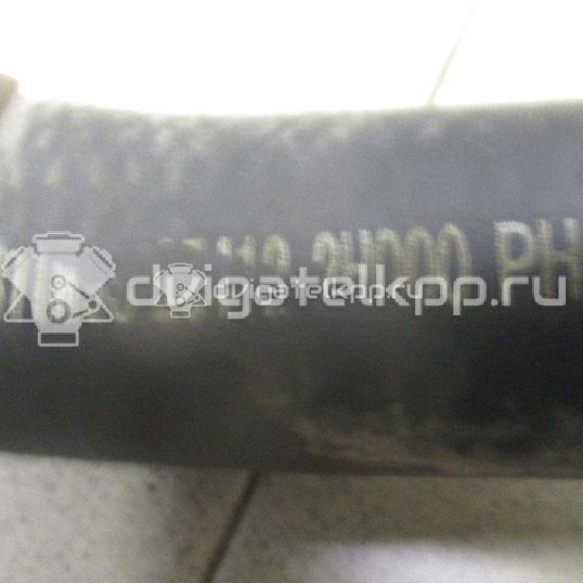 Фото Патрубок радиатора  254122h000 для kia Ceed