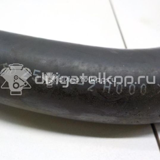 Фото Патрубок радиатора  254112h000 для Hyundai I30