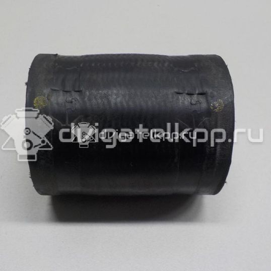 Фото Патрубок интеркулера для двигателя YD25DDTi для Nissan Bassara / Nv350 E26 / Serena / Sani / Presage 100-190 л.с 16V 2.5 л Дизельное топливо 14463EB310