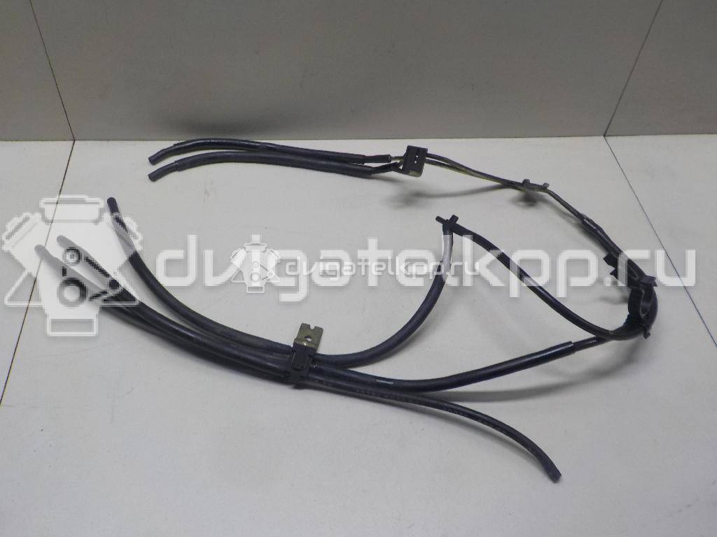 Фото Трубка вакуумная для двигателя YD25DDTi для Nissan Bassara / Nv350 E26 / Serena / Sani / Presage 100-190 л.с 16V 2.5 л Дизельное топливо 22310EB310 {forloop.counter}}