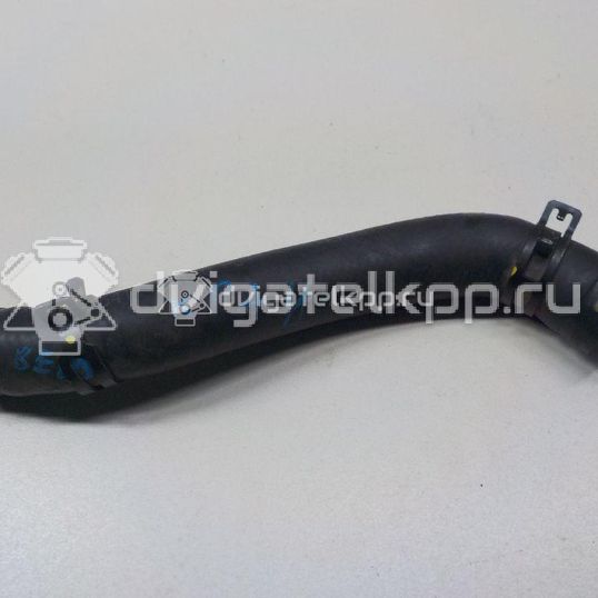 Фото Патрубок радиатора  254111R150 для hyundai Solaris