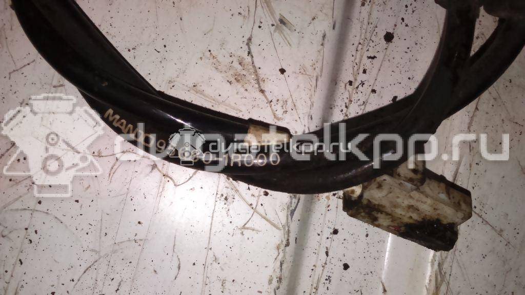 Фото Датчик ABS задний левый  956801R000 для Hyundai Accent {forloop.counter}}