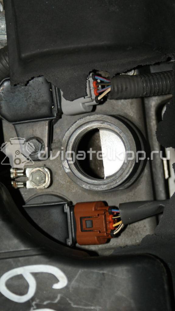 Фото Контрактный (б/у) двигатель 1NZ-FE для Toyota Echo P1 / Ist Ncp6 / Allion / Porte Nnp1 / Ractis P10 103-150 л.с 16V 1.5 л бензин {forloop.counter}}