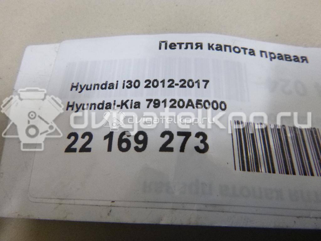 Фото Петля капота правая  79120A5000 для Hyundai I30 {forloop.counter}}