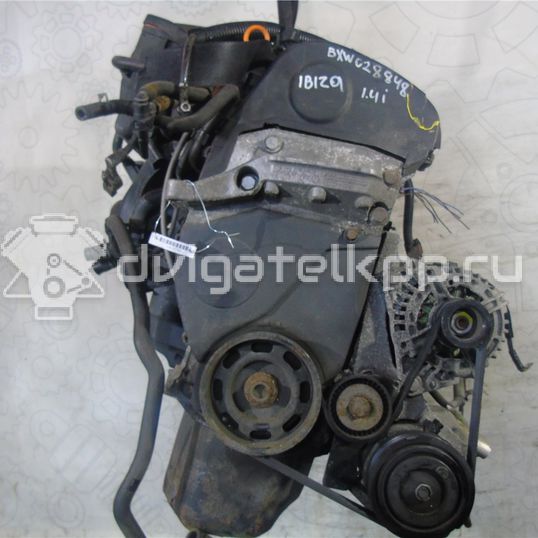 Фото Контрактный (б/у) двигатель BXW для Seat Ibiza / Cordoba / Toledo 86 л.с 16V 1.4 л бензин