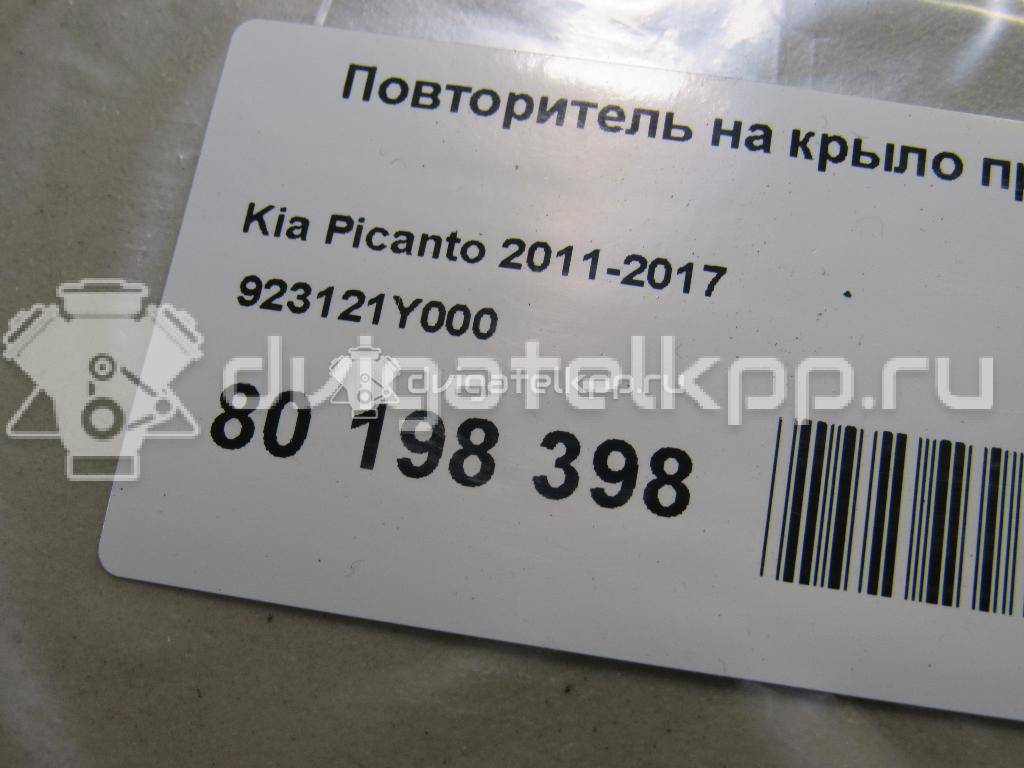 Фото Повторитель на крыло правый белый  923121Y000 для Kia Picanto {forloop.counter}}