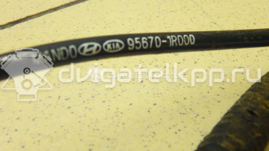 Фото Датчик ABS передний левый  956701R000 для kia RIO {forloop.counter}}