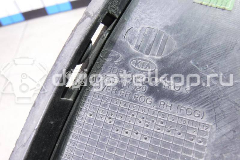 Фото Рамка противотуманной фары правой  865281Y320 для Kia Picanto {forloop.counter}}
