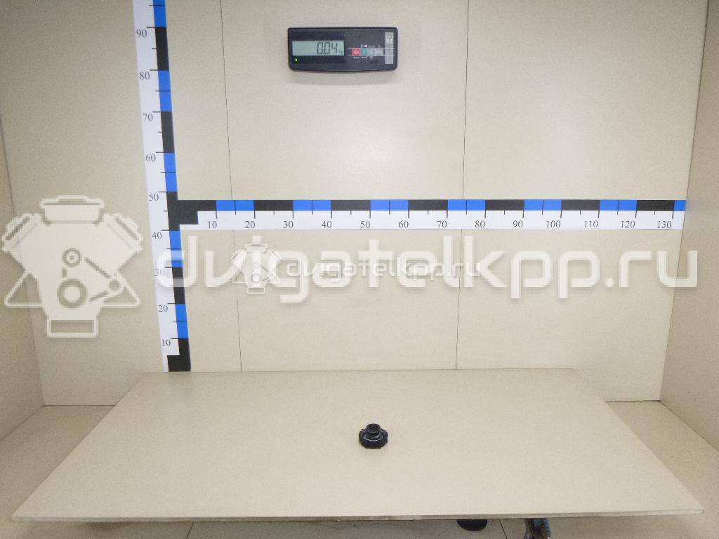 Фото Крышка расширительного бачка  1301104 для land rover Discovery Sport {forloop.counter}}