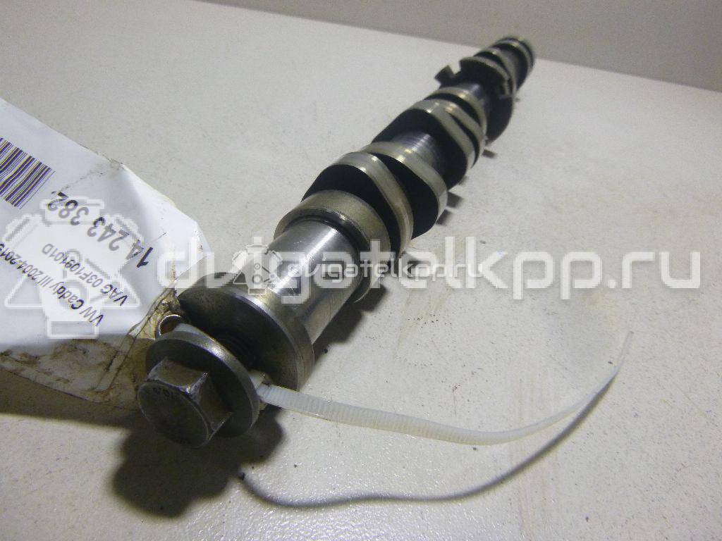 Фото Распредвал для двигателя CBZB для Volkswagen / Seat 105 л.с 8V 1.2 л бензин 03F109101D {forloop.counter}}