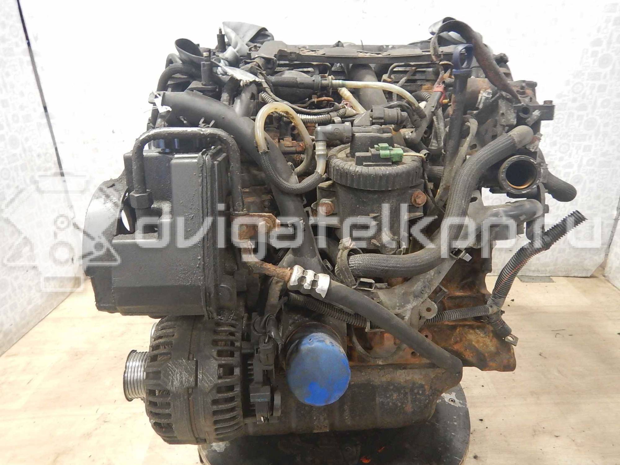 Фото Контрактный (б/у) двигатель RHY (DW10TD) для Peugeot / Citroen 90 л.с 8V 2.0 л Дизельное топливо {forloop.counter}}