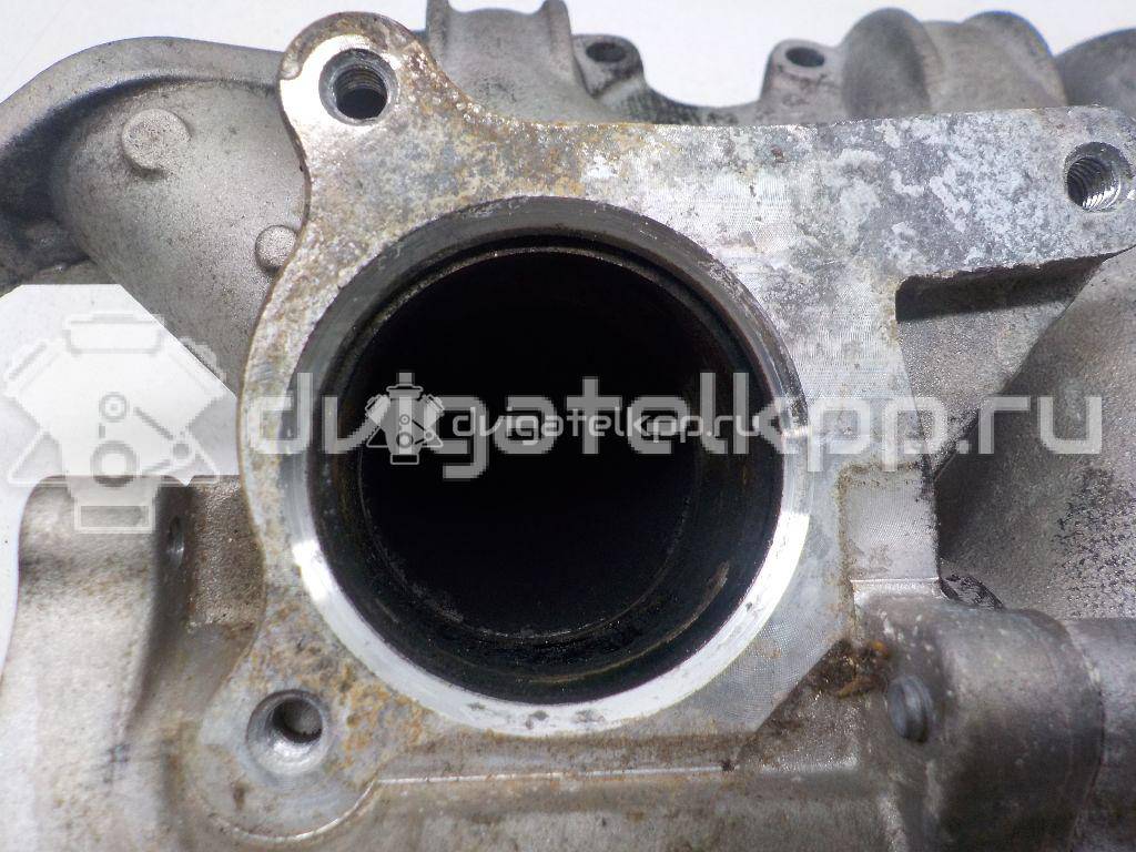 Фото Коллектор впускной для двигателя BLS для Volkswagen / Seat 105 л.с 8V 1.9 л Дизельное топливо 03G129713K {forloop.counter}}