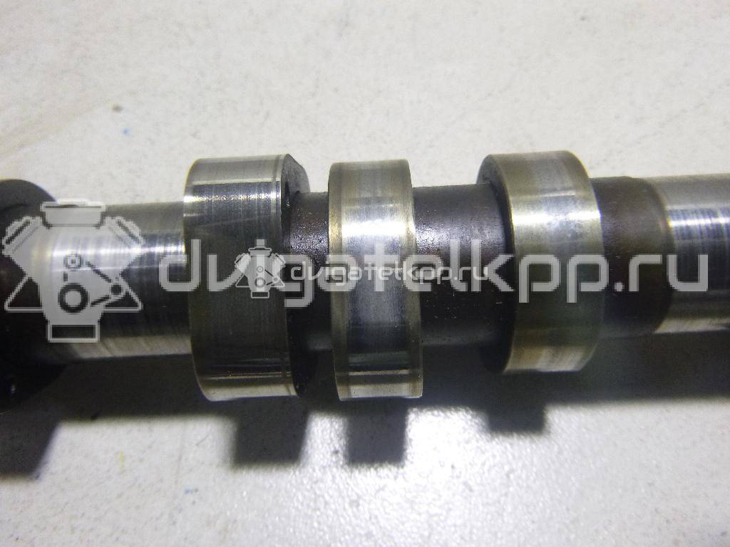 Фото Распредвал для двигателя CBZB для Volkswagen Touran / Vento / Golf / Polo / Caddy 105 л.с 8V 1.2 л бензин 03F109101D {forloop.counter}}