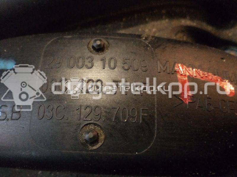 Фото Коллектор впускной для двигателя BLF для Volkswagen Passat / Eos 1F7, 1F8 / Jetta / Golf 115 л.с 16V 1.6 л бензин 03C129711F {forloop.counter}}