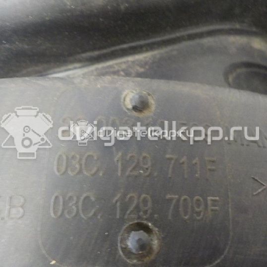 Фото Коллектор впускной для двигателя BLF для Volkswagen Passat / Eos 1F7, 1F8 / Jetta / Golf 115 л.с 16V 1.6 л бензин 03C129711F