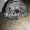 Фото Коллектор впускной для двигателя BLF для Volkswagen Passat / Eos 1F7, 1F8 / Jetta / Golf 115 л.с 16V 1.6 л бензин 03C129711F {forloop.counter}}