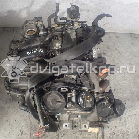 Фото Контрактный (б/у) двигатель BLF для Volkswagen Passat / Eos 1F7, 1F8 / Jetta / Golf 115 л.с 16V 1.6 л бензин