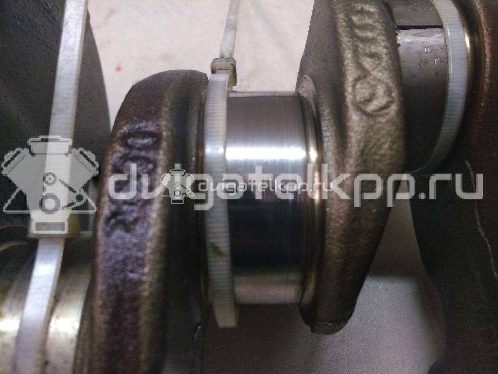 Фото Коленвал для двигателя CAXA для Volkswagen Tiguan / Eos 1F7, 1F8 / Golf / Passat / Jetta 122 л.с 16V 1.4 л бензин 03C105101BF {forloop.counter}}