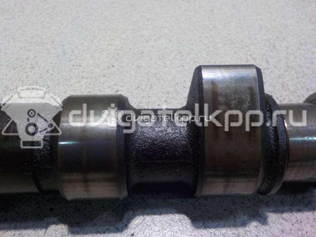 Фото Распредвал для двигателя RP для Volkswagen Jetta / Golf 90 л.с 8V 1.8 л бензин 026109101Q {forloop.counter}}