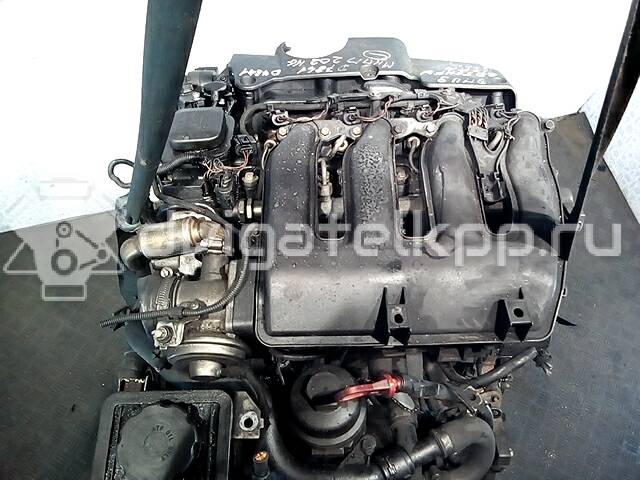 Фото Контрактный (б/у) двигатель M47 D20 (204D1) для Bmw 5 / 3 116-136 л.с 16V 2.0 л Дизельное топливо {forloop.counter}}