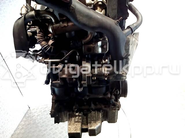 Фото Контрактный (б/у) двигатель BNM для Volkswagen Fox 5Z1, 5Z3 70 л.с 6V 1.4 л Дизельное топливо {forloop.counter}}