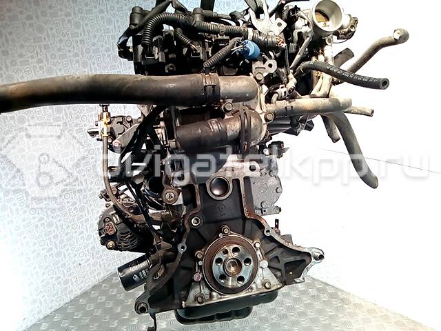 Фото Контрактный (б/у) двигатель G4ED для Hyundai Accent 104-114 л.с 16V 1.6 л бензин {forloop.counter}}