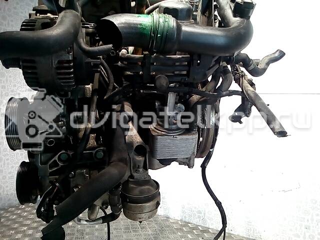 Фото Контрактный (б/у) двигатель AVF для Volkswagen Passat 130 л.с 8V 1.9 л Дизельное топливо {forloop.counter}}