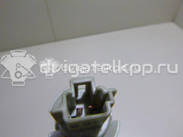 Фото Патрон лампы  GG2M513G7 для mazda 626 (GF) {forloop.counter}}