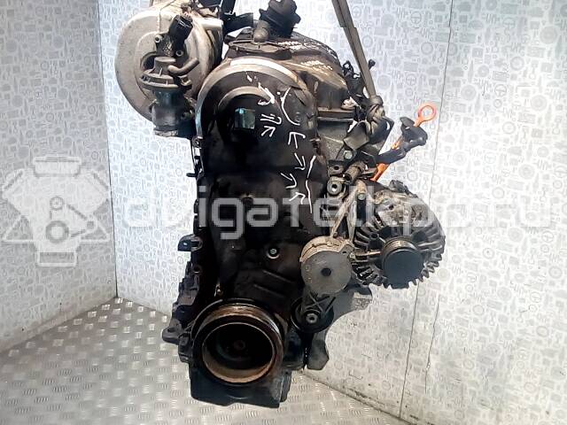 Фото Контрактный (б/у) двигатель BDK для Volkswagen Golf 75 л.с 8V 2.0 л Дизельное топливо {forloop.counter}}