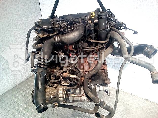 Фото Контрактный (б/у) двигатель D 4204 T для Volvo V50 Mw / C70 / V70 / C30 / S40 136 л.с 16V 2.0 л Дизельное топливо D4204T {forloop.counter}}