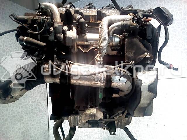 Фото Контрактный (б/у) двигатель D 4204 T для Volvo V50 Mw / C70 / V70 / C30 / S40 136 л.с 16V 2.0 л Дизельное топливо D4204T {forloop.counter}}