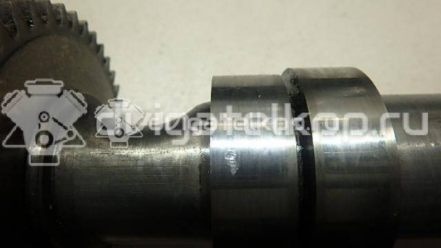 Фото Распредвал впускной для двигателя BMK для Volkswagen Phaeton 3D 224 л.с 24V 3.0 л Дизельное топливо 059109009BK {forloop.counter}}