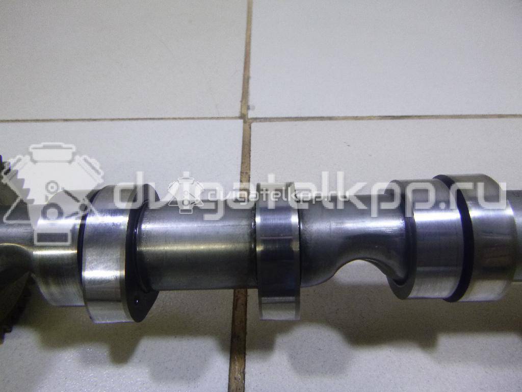 Фото Распредвал впускной для двигателя BMK для Volkswagen Phaeton 3D 224 л.с 24V 3.0 л Дизельное топливо 059109009BK {forloop.counter}}