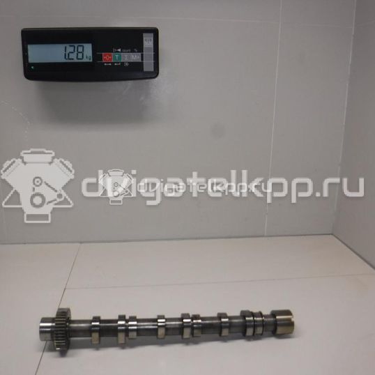 Фото Распредвал выпускной для двигателя BMK для Volkswagen Phaeton 3D 224 л.с 24V 3.0 л Дизельное топливо 059109022BE