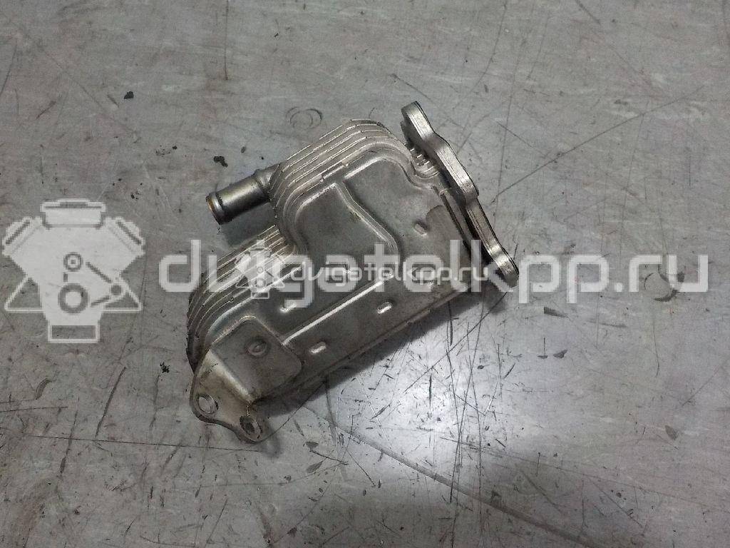 Фото Радиатор системы EGR для двигателя BMK для Volkswagen Phaeton 3D 224 л.с 24V 3.0 л Дизельное топливо 059131511 {forloop.counter}}