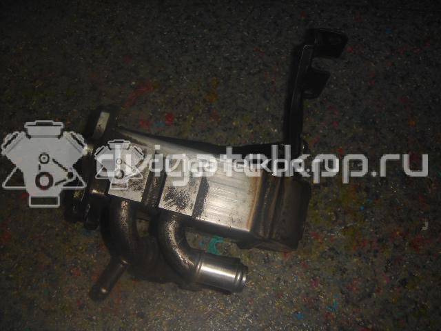 Фото Радиатор системы EGR для двигателя BMK для Volkswagen Phaeton 3D 224 л.с 24V 3.0 л Дизельное топливо 059131511 {forloop.counter}}