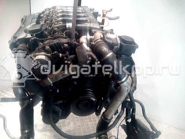 Фото Контрактный (б/у) двигатель M57 D25 (256D1) для Bmw 5 163 л.с 24V 2.5 л Дизельное топливо {forloop.counter}}