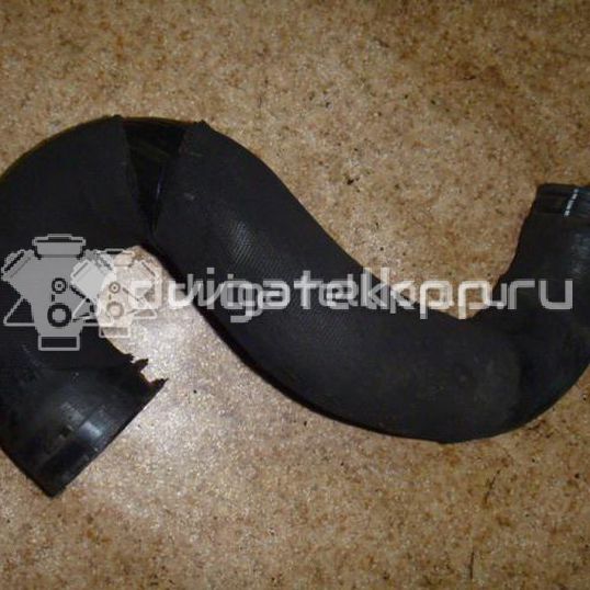 Фото Патрубок интеркулера для двигателя BMK для Volkswagen Phaeton 3D 224 л.с 24V 3.0 л Дизельное топливо