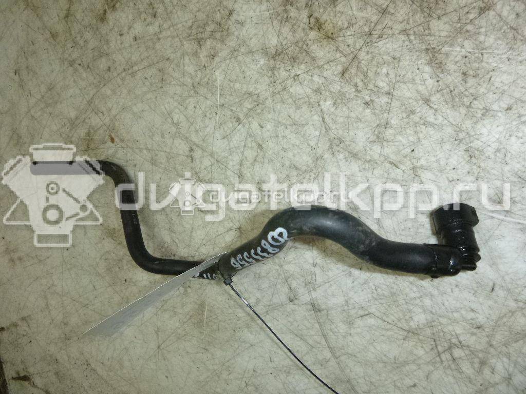 Фото Шланг топливный для двигателя CFNB для Volkswagen Polo / Jetta 86 л.с 16V 1.6 л бензин 036133514E {forloop.counter}}