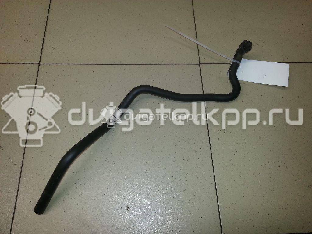 Фото Шланг топливный для двигателя CFNB для Volkswagen Polo / Jetta 86 л.с 16V 1.6 л бензин 036133514E {forloop.counter}}