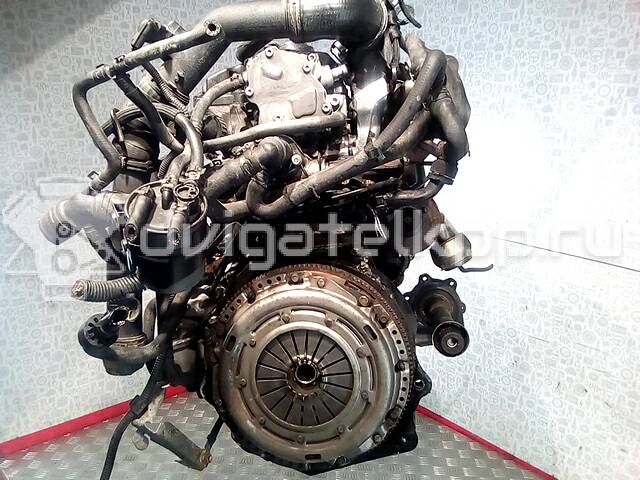 Фото Контрактный (б/у) двигатель AUY для Volkswagen Bora / Golf 115 л.с 8V 1.9 л Дизельное топливо AUY {forloop.counter}}