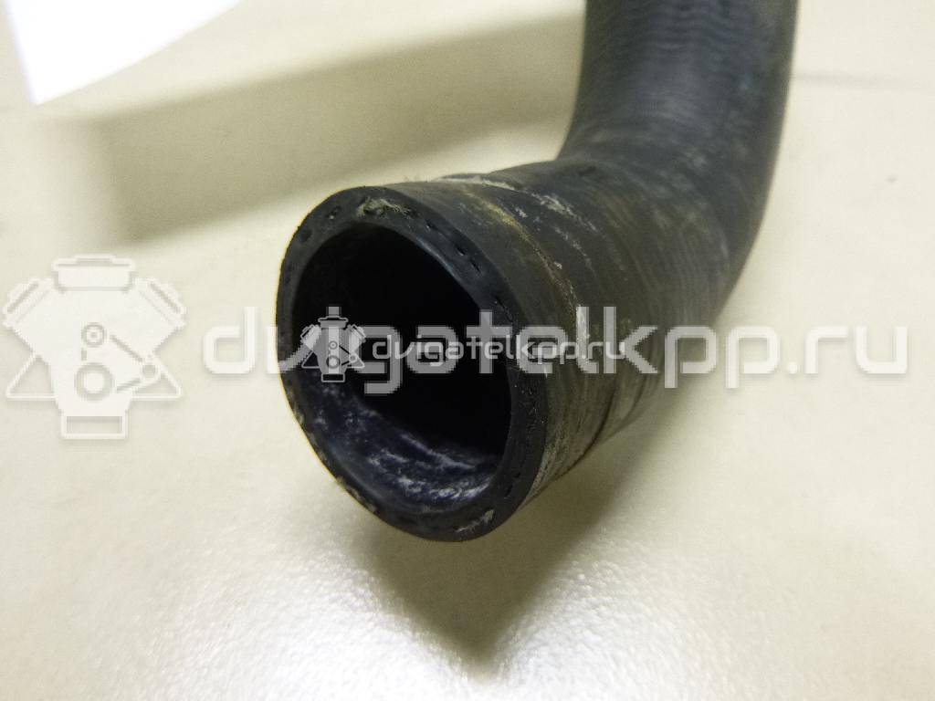 Фото Патрубок радиатора  21501ax800 для Nissan Note / Micra {forloop.counter}}
