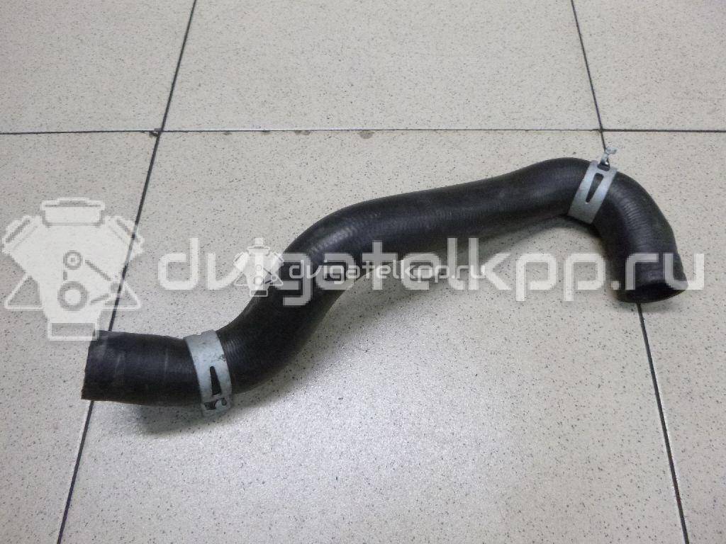 Фото Патрубок радиатора  21501ax800 для Nissan Note / Micra {forloop.counter}}